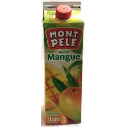 NECTAR A LA MANGUE - 1L