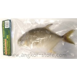 POISSON POMFRET GOLDEN...